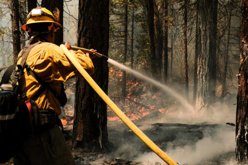 California firefighter battling Dixie Fire dies, officials say