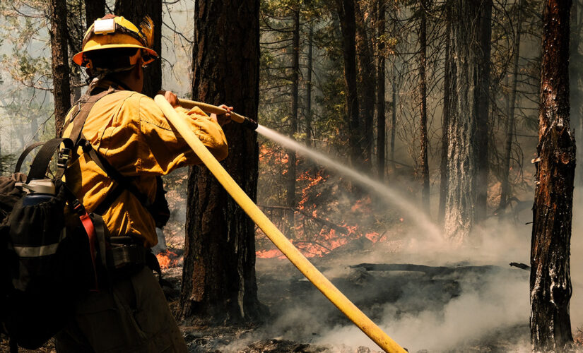 California firefighter battling Dixie Fire dies, officials say