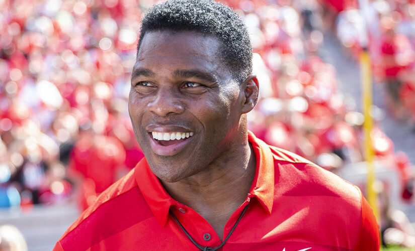 Herschel Walker talks Senate run with Clay Travis on Outkick bus tour kickoff at Georgia-Clemson game