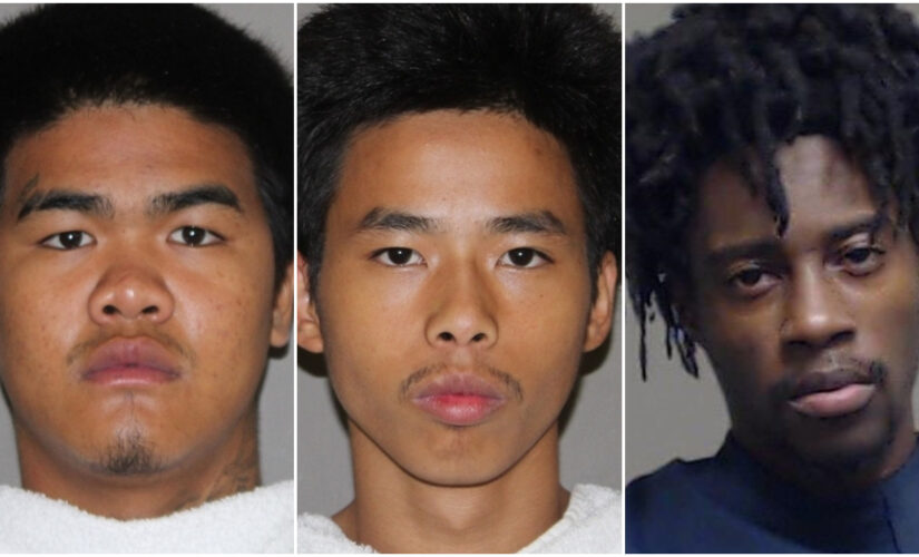 Dallas girl, 13, shot during armed robbery attempt, 3 suspects arrested