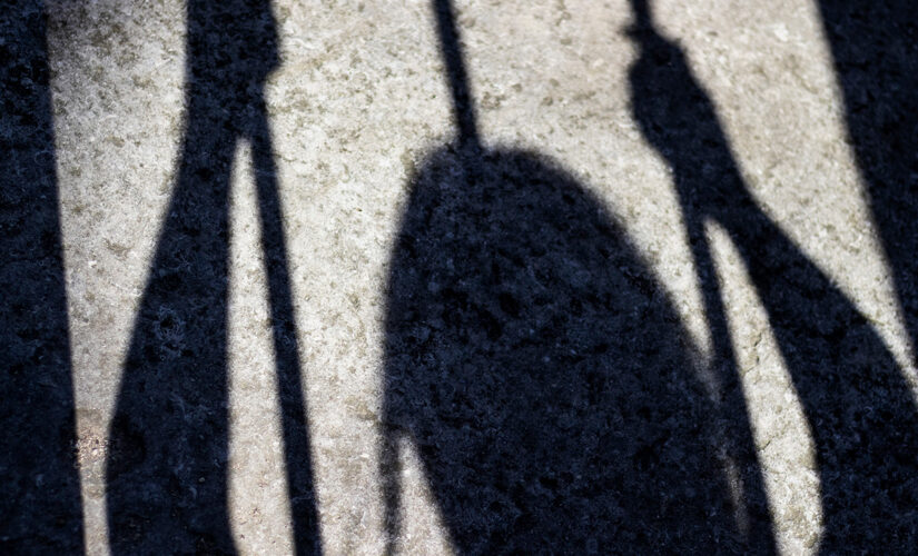 12-state human trafficking sting frees 59 victims, including 2 minors; 102 suspects arrested