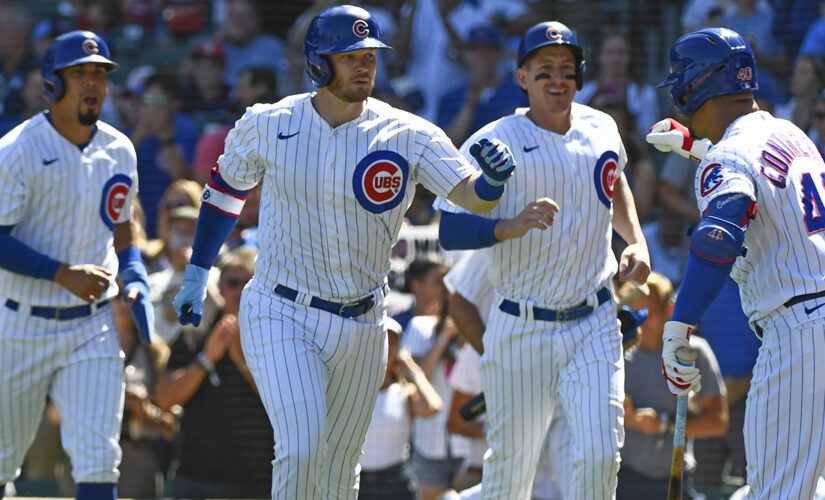 Schwindel hits tiebreaking single as Cubs beat Reds 4-3