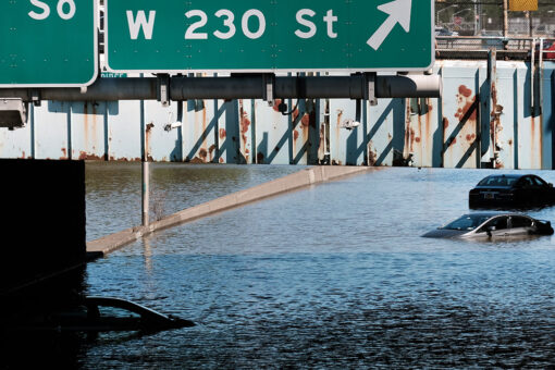 Hero NYC delivery man kept pushing through floodwater, video shows