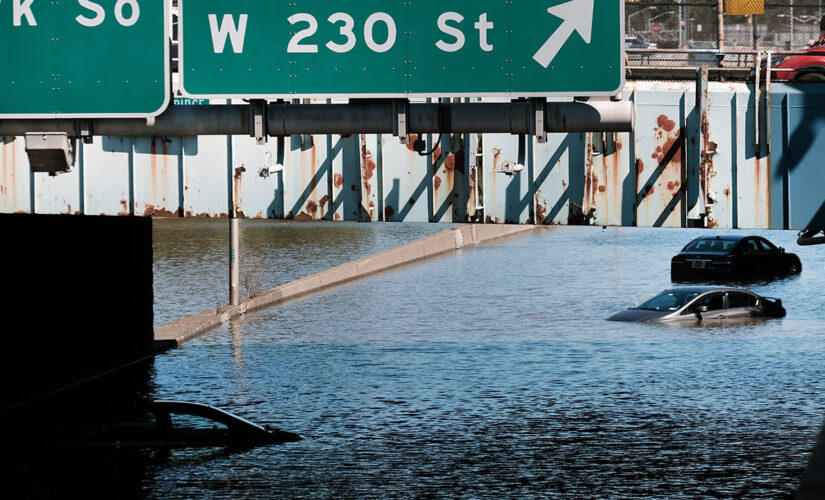 Hero NYC delivery man kept pushing through floodwater, video shows