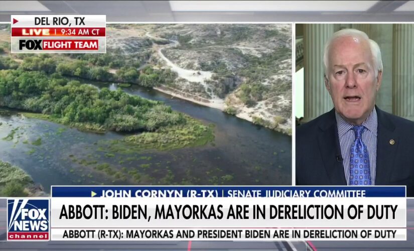 Sen. Cornyn on ‘America’s Newsroom’: If Biden admin wanted to stop the border surge, they would