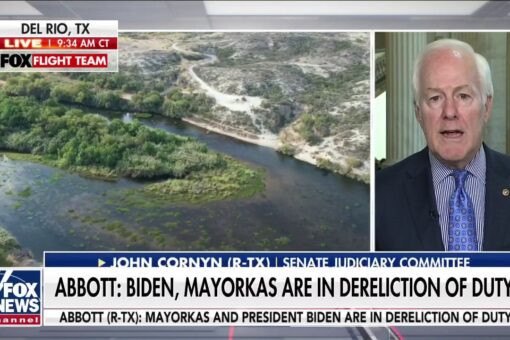 Sen. Cornyn on ‘America’s Newsroom’: If Biden admin wanted to stop the border surge, they would