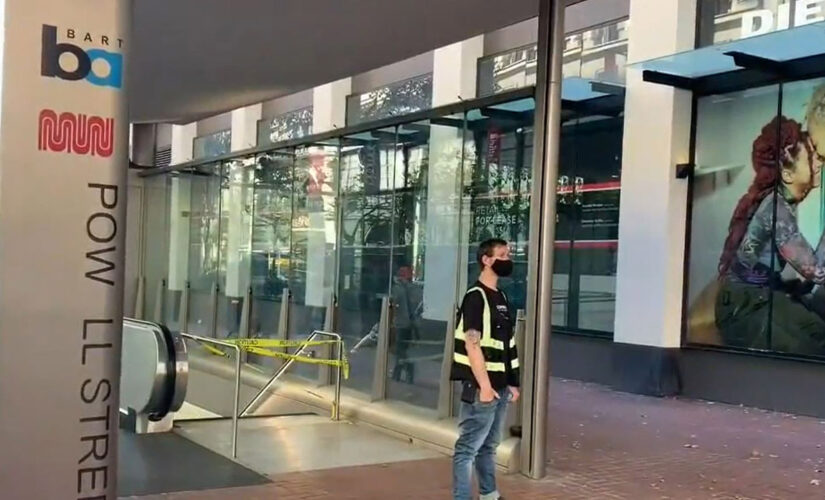 Freak accident at BART rail station leaves San Francisco dog owner dead