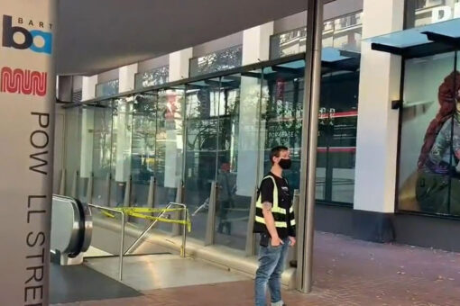 Freak accident at BART rail station leaves San Francisco dog owner dead