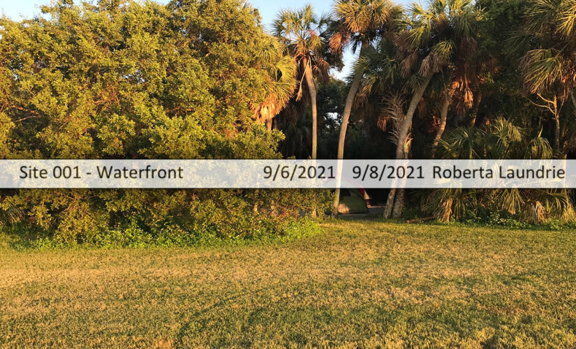 Brian Laundrie manhunt: Florida park surveillance footage part of FBI investigation