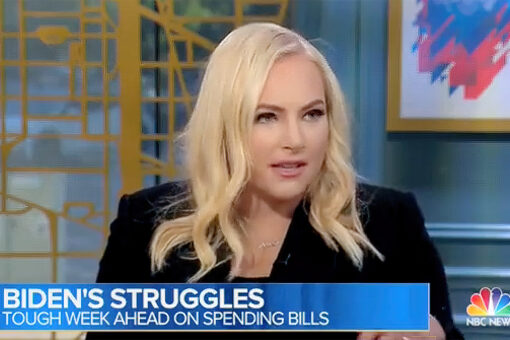 Meghan McCain hits Democrats for ‘distaste and outward hostility’ toward moderates