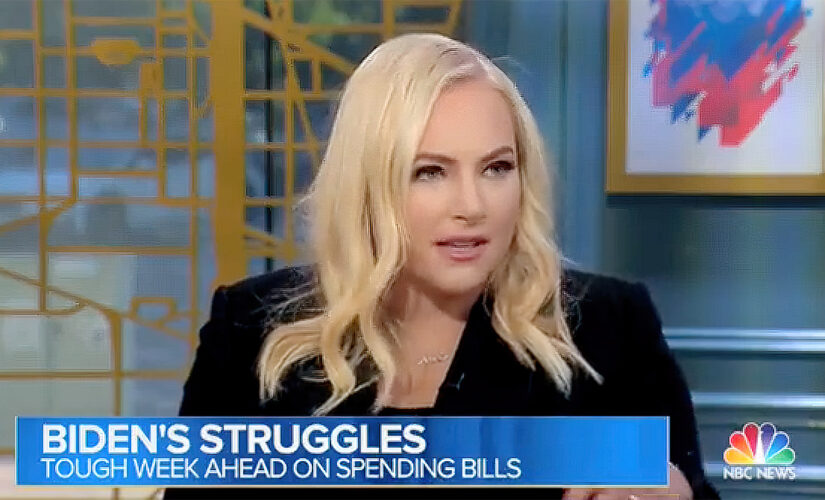 Meghan McCain hits Democrats for ‘distaste and outward hostility’ toward moderates