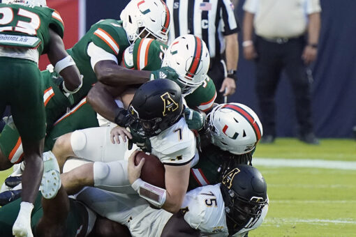 Miami fans rescue dangling cat in heart-wrenching moment