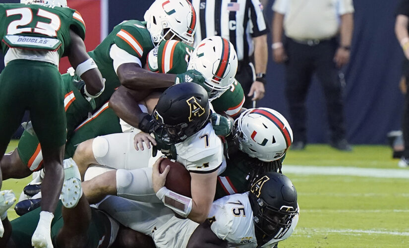 Miami fans rescue dangling cat in heart-wrenching moment