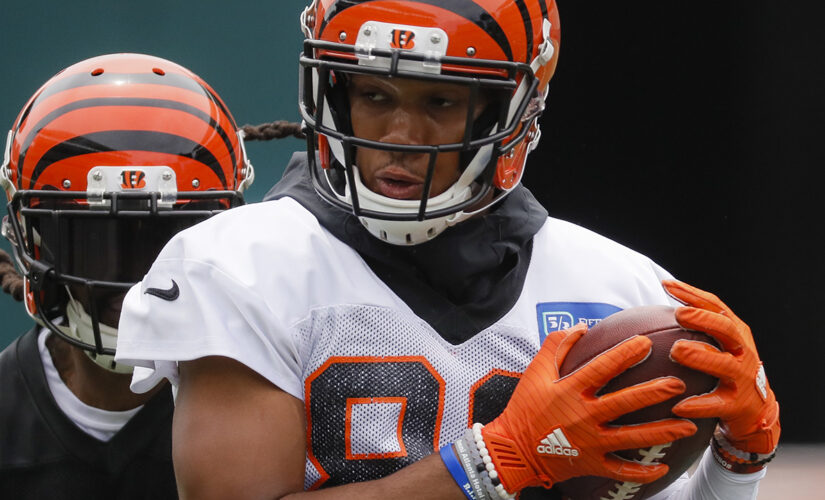 Bengals’ Tyler Boyd suggests Steelers ‘gave up’ in showdown between AFC North rivals