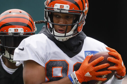 Bengals’ Tyler Boyd suggests Steelers ‘gave up’ in showdown between AFC North rivals
