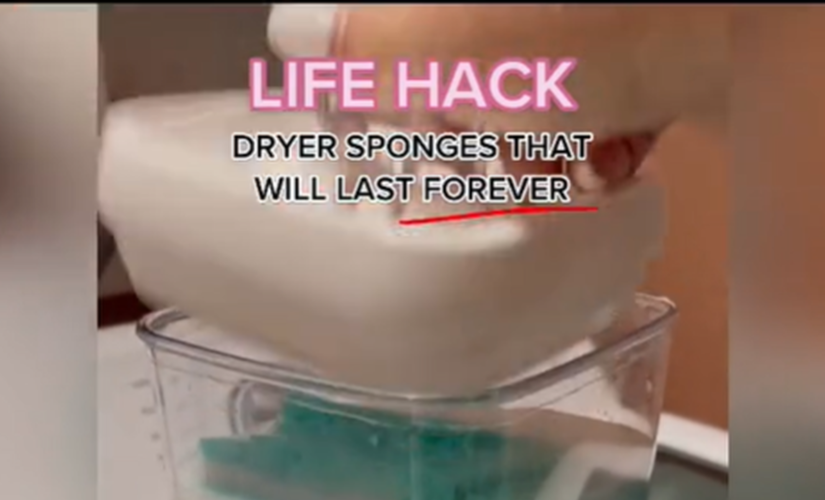 Woman’s viral sponge hack said to be money-saving alternative to dryer sheets