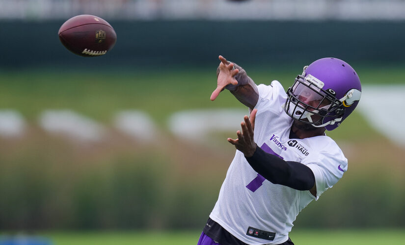 Vikings’ Patrick Peterson sounds off on blocking rule: ‘We’re really gonna get smashed now’