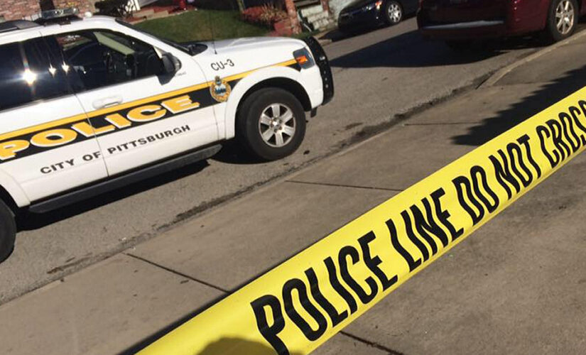 ‘Ambush-style’ attacks on law enforcement more than double compared to same timeframe in 2020: union