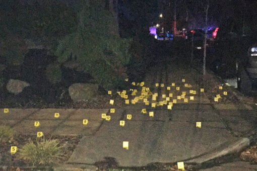 Portland sees nine shootings in 16-hour span; service dog killed, police say