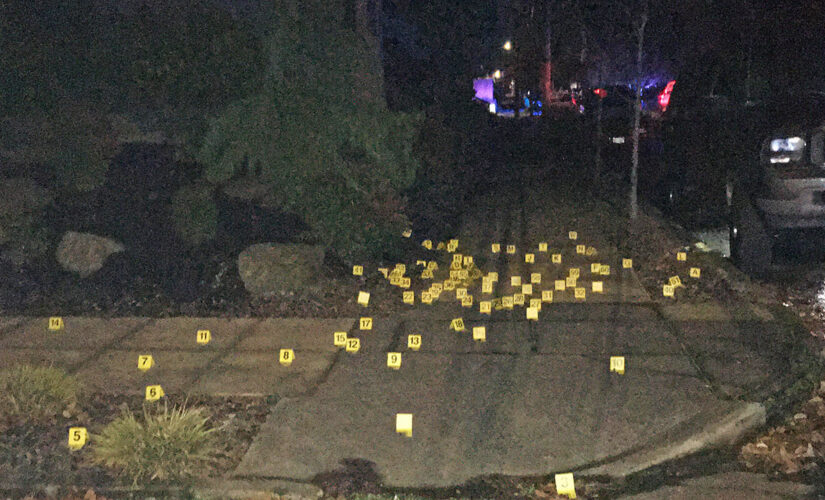 Portland sees nine shootings in 16-hour span; service dog killed, police say