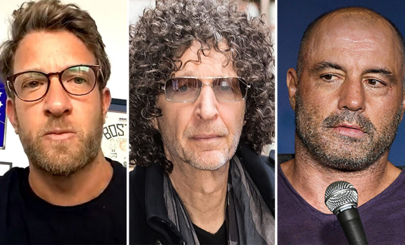 Dave Portnoy rips Howard Stern for vaccine-scolding Joe Rogan: ‘He’d be wagging his finger at a younger self’