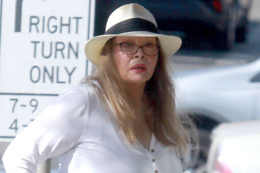 Raquel Welch, actress and 1960s sex symbol, spotted for the first time in over two years