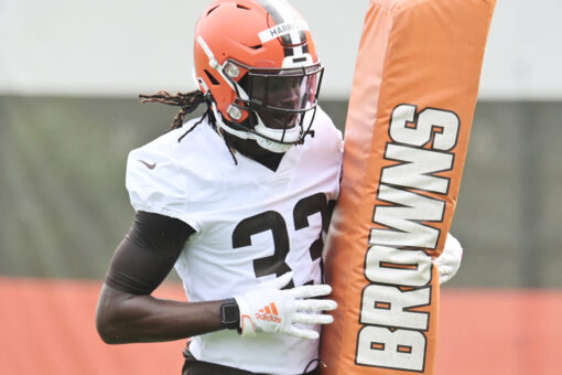 Browns’ Ronnie Harrison Jr ejected after skirmish with Chiefs coach