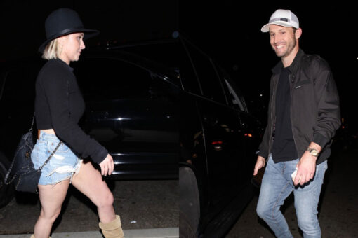 Hayden Panettiere parties with ex-boyfriend Brian Hickerson over a year after abuse allegations against him