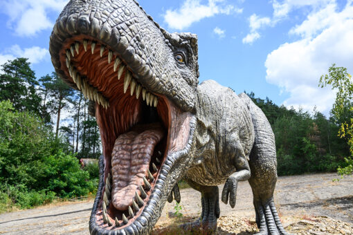 Newly-discovered carnivorous dinosaur terrorized the tyrannosaurs