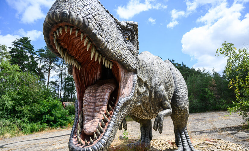 Newly-discovered carnivorous dinosaur terrorized the tyrannosaurs