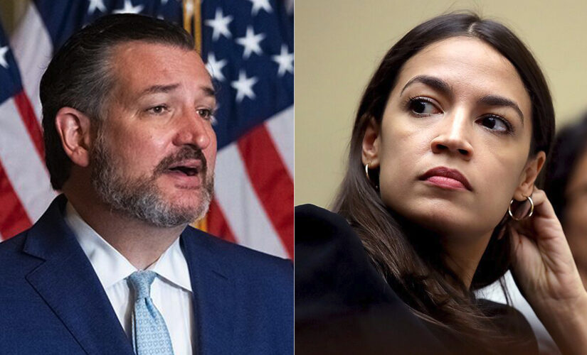 Ted Cruz challenges AOC to ‘cry in front of the Biden cages’ as border crisis rages