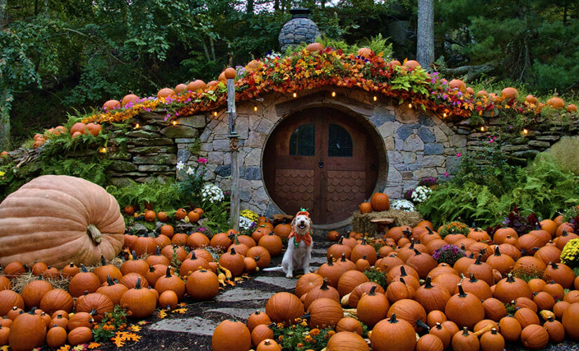 The best pumpkin patches for fall fun in America