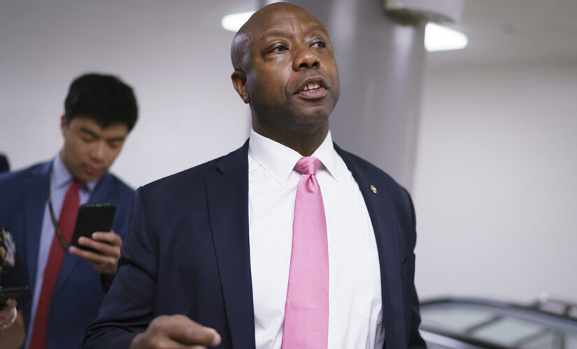Sen. Tim Scott: The left is ‘putting politics over people’ regarding police reform