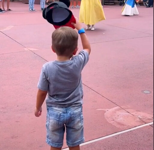 ‘A true gentleman’: 4-year-old tipping his hat to Disney princesses gets love from millions