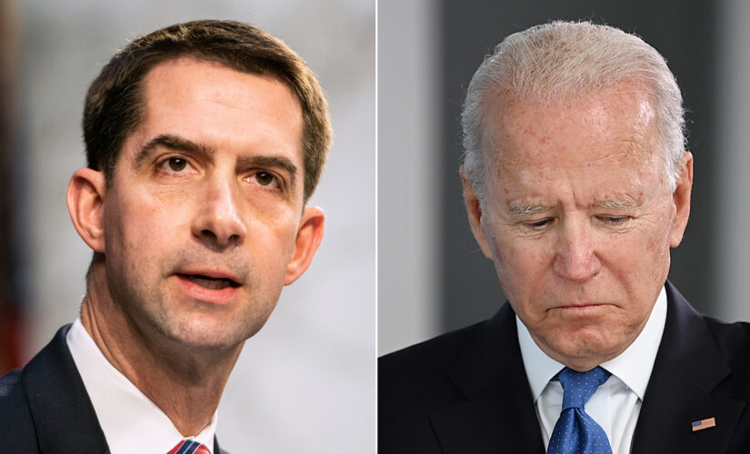 Biden’s beach trip while Americans stuck in Afghanistan ‘an embarrassment,’ Cotton says