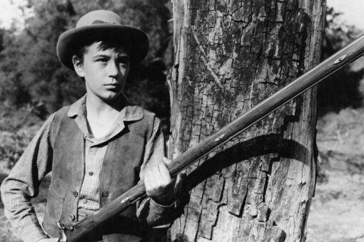 Tommy Kirk, ‘Old Yeller’ child star, dead at 79