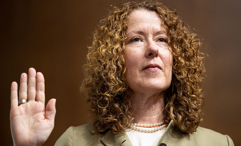 Senate Dems prepare to confirm ecoterrorism-linked Biden nominee