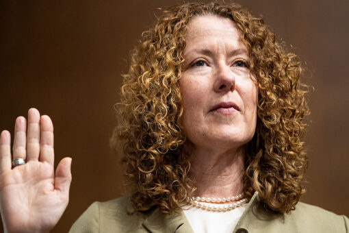 Senate Dems prepare to confirm ecoterrorism-linked Biden nominee