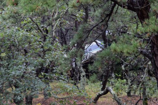 Cape Air flight crashes at Massachusetts airport, no deaths reported