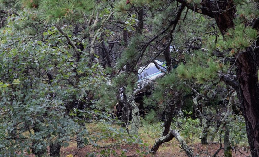 Cape Air flight crashes at Massachusetts airport, no deaths reported