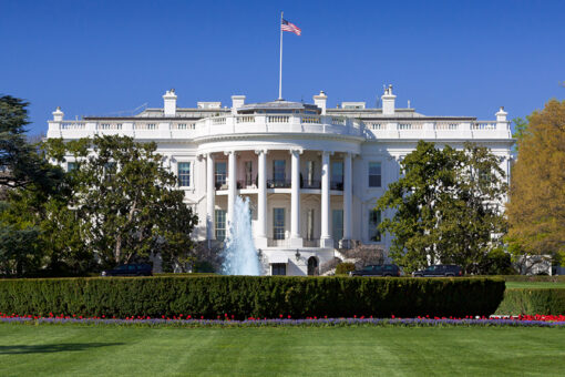 Executive branch’s ‘decentralized’ ‘deep state’ in charge while voters think president is: Curtis Yarvin