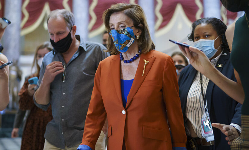 Woody Harrelson spotted with Nancy Pelosi in Washington