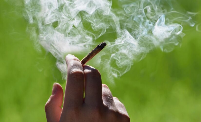 Cannabis use linked to increased risk of heart attack among young adults: study
