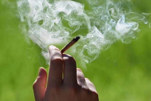 Cannabis use linked to increased risk of heart attack among young adults: study
