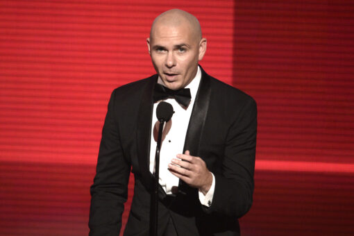 Woman paralyzed after alleged attack at Pitbull concert