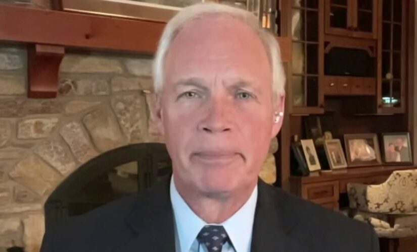 Ron Johnson drags Hunter Biden for ‘sleazy’ foreign dealings, new email evidence reveals