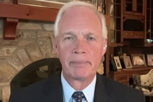 Ron Johnson drags Hunter Biden for ‘sleazy’ foreign dealings, new email evidence reveals