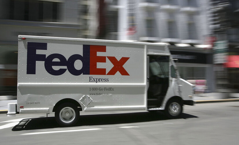 FedEx drivers accused of stealing girl’s kitten