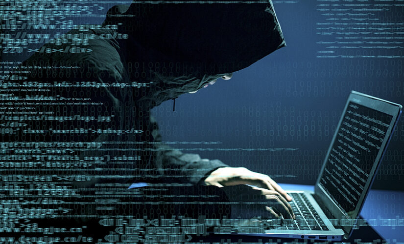 Hack of Texas GOP website on 9/11 ‘made my day,’ ex-Biden-Obama adviser says
