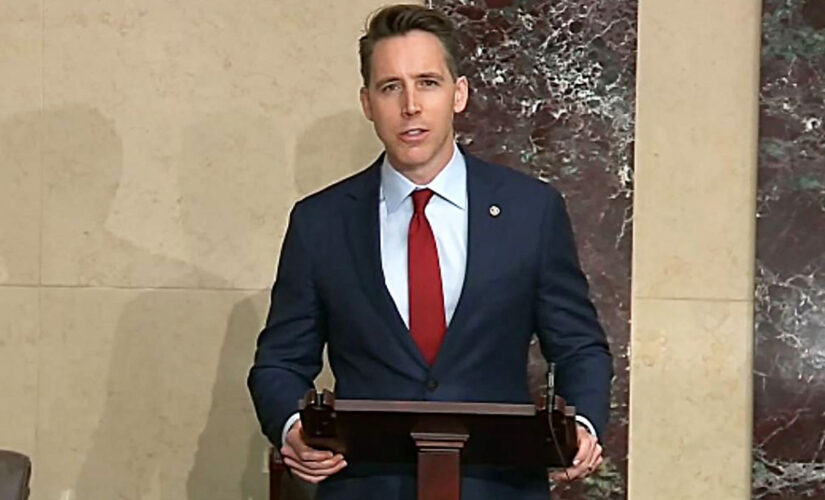 Hawley backs Vance in Ohio’s crowded Republican Senate primary